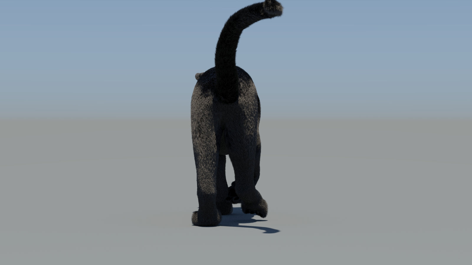 Animated Black Panther 3D Model Fur 360° view 6 frame 14