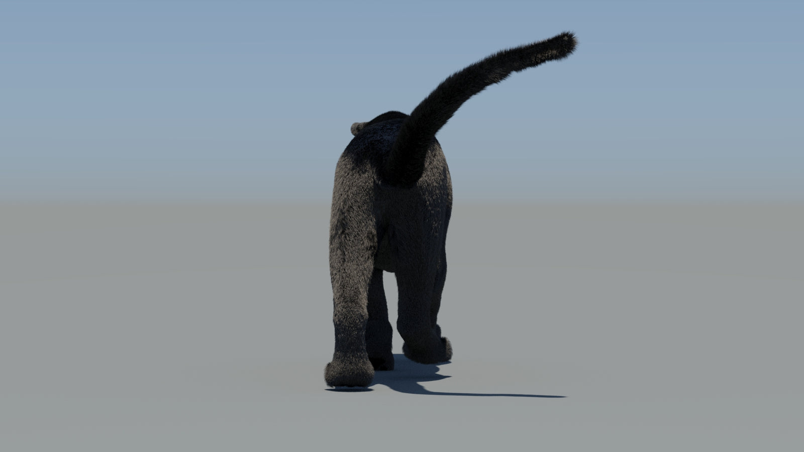 Animated Black Panther 3D Model Fur 360° view 6 frame 20