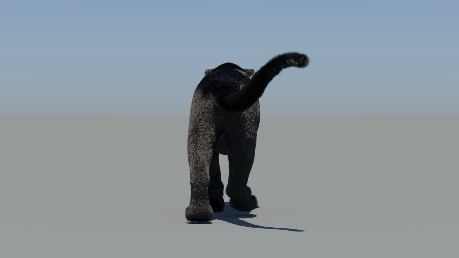 Animated Black Panther 3D Model Fur 360° view 6 frame 22