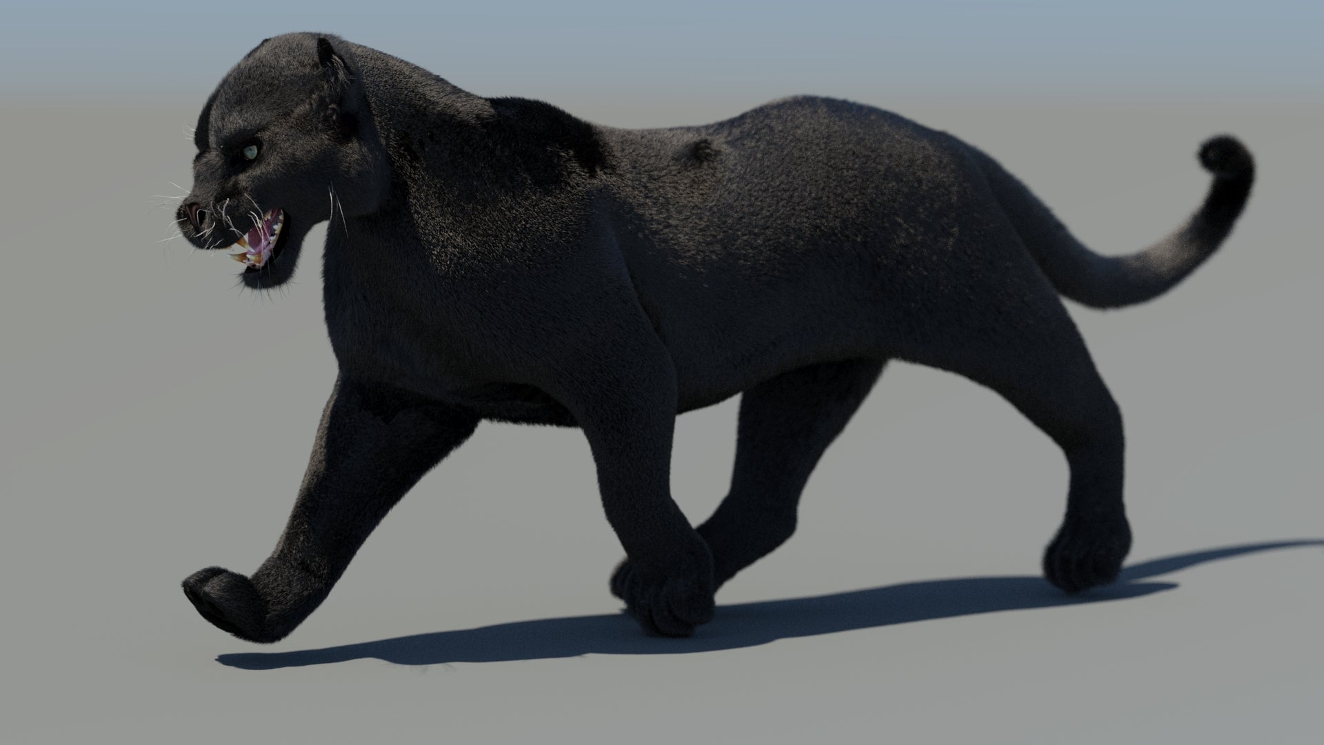 Animated Black Panther 3D Model Fur - 360 Degree View