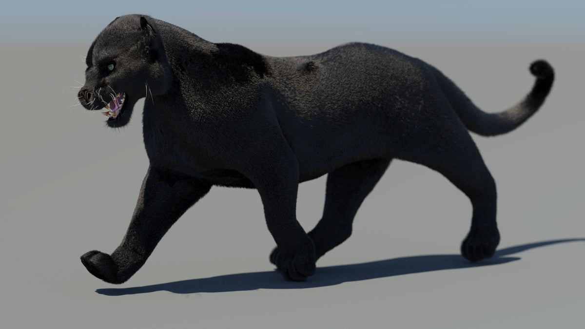 Animated Black Panther 3D Model Fur - 360 Degree View