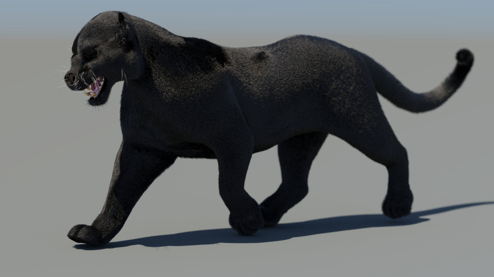 Animated Black Panther 3D Model Fur 360° view 4 frame 4