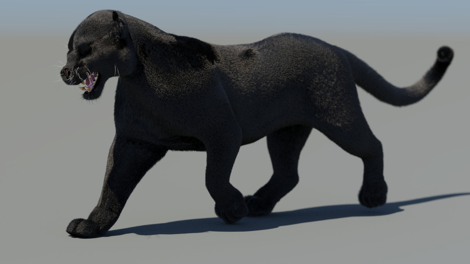 Animated Black Panther 3D Model Fur 360° view 4 frame 5