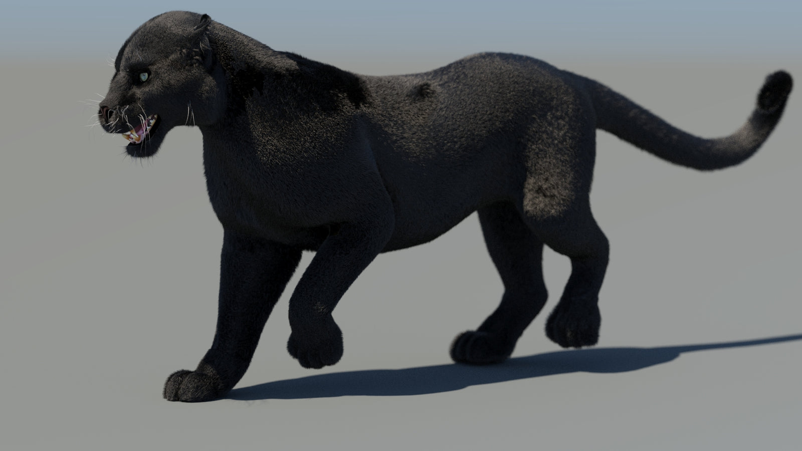 Animated Black Panther 3D Model Fur 360° view 4 frame 10