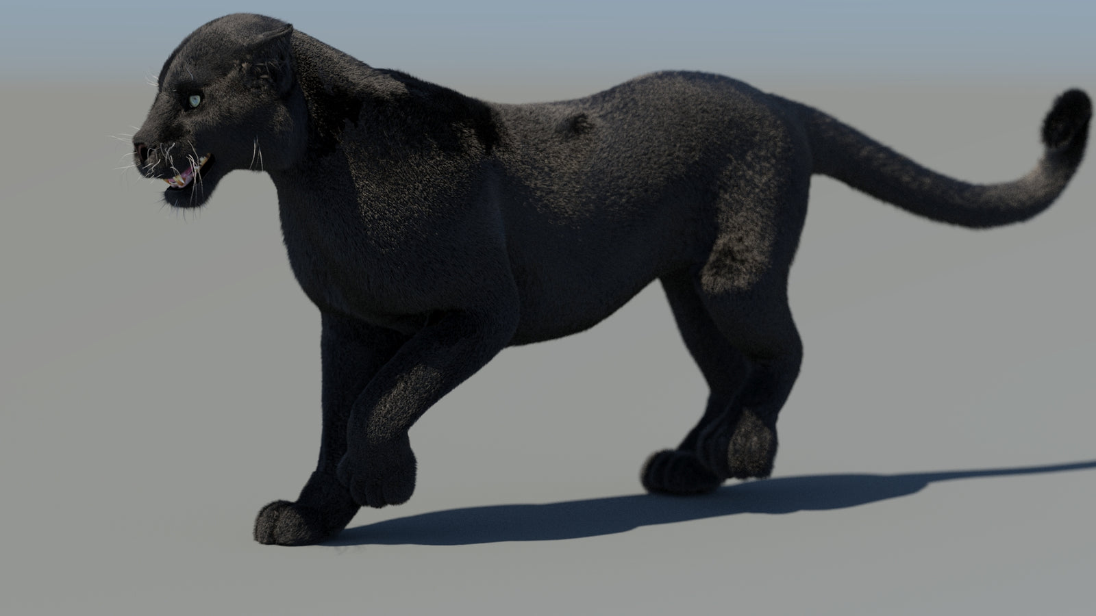 Animated Black Panther 3D Model Fur 360° view 4 frame 12