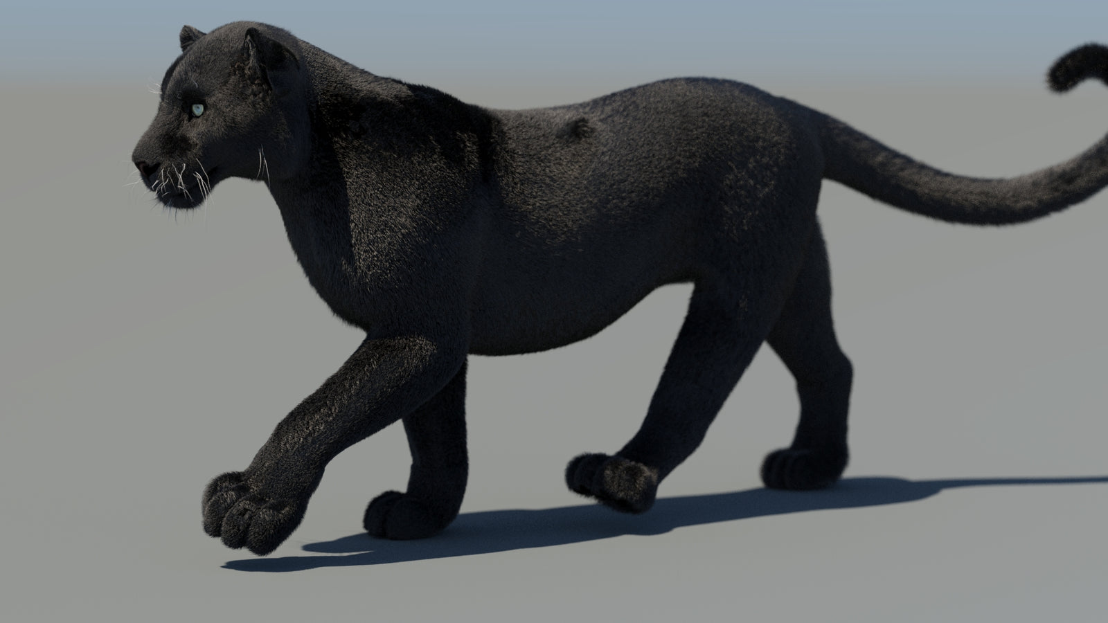 Animated Black Panther 3D Model Fur 360° view 4 frame 19