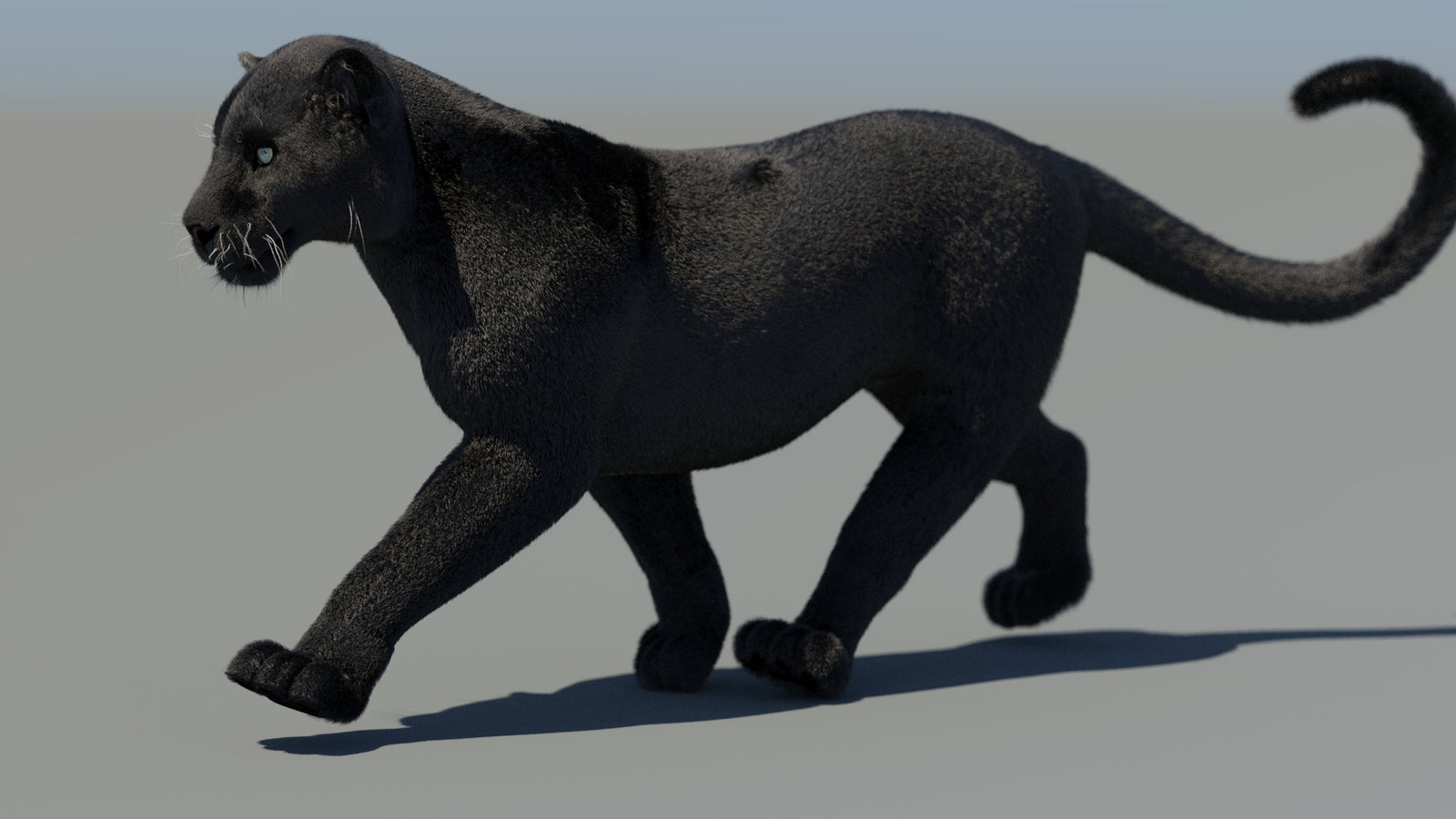Animated Black Panther 3D Model Fur 360° view 4 frame 24