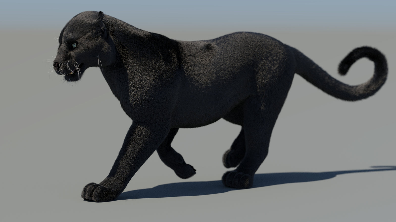 Animated Black Panther 3D Model Fur 360° view 4 frame 30
