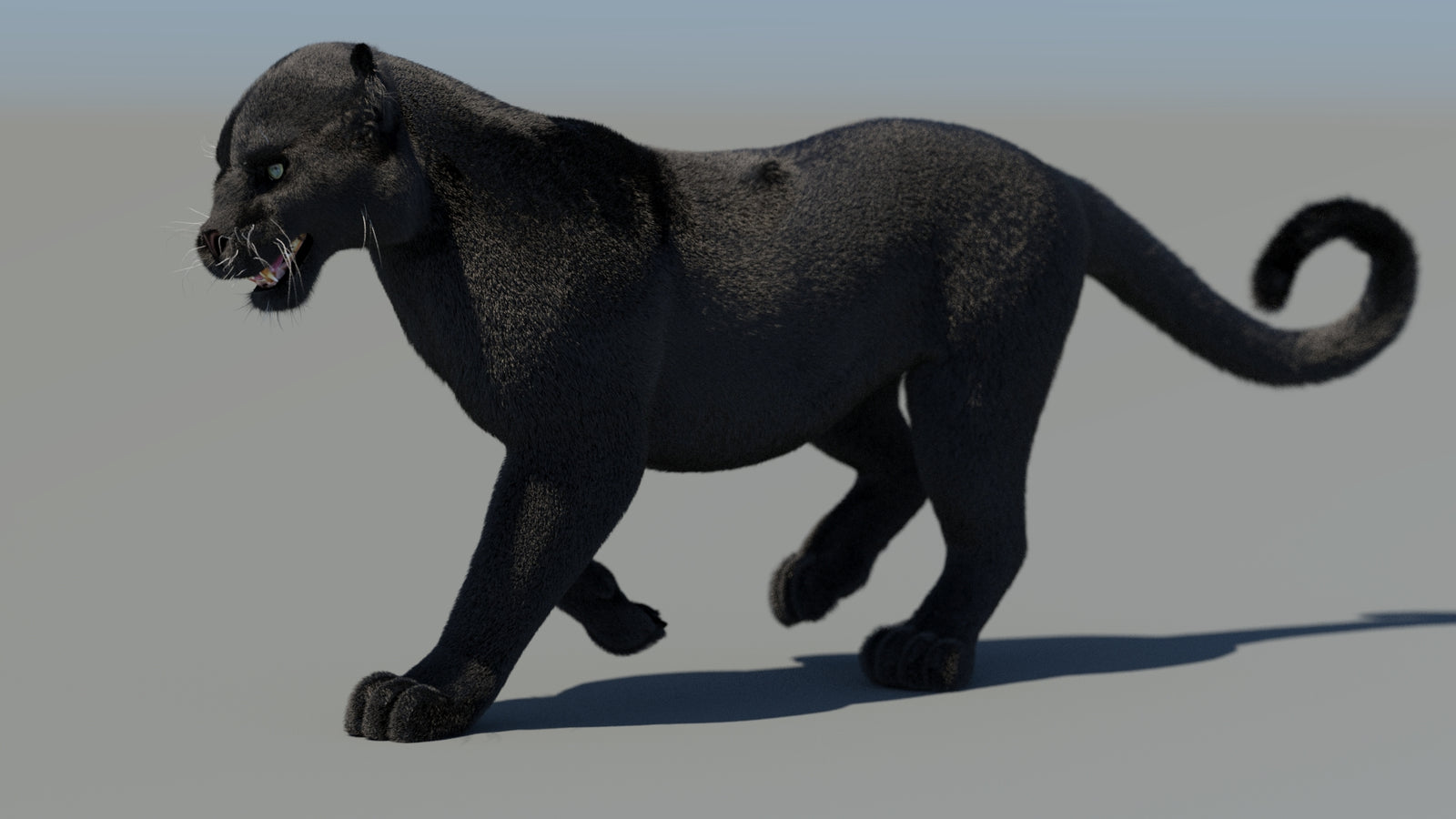 Animated Black Panther 3D Model Fur 360° view 4 frame 32