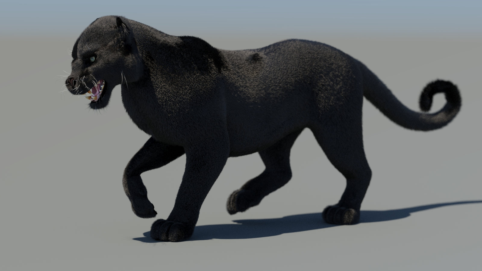 Animated Black Panther 3D Model Fur 360° view 4 frame 37