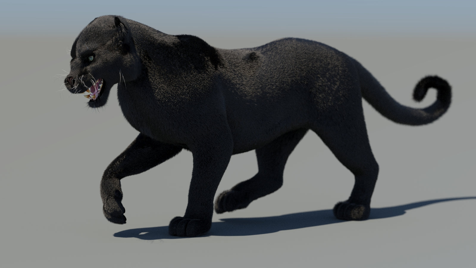 Animated Black Panther 3D Model Fur 360° view 4 frame 39