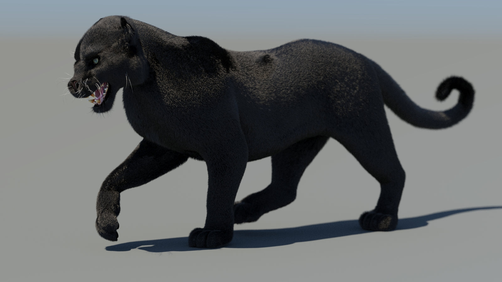 Animated Black Panther 3D Model Fur 360° view 4 frame 40