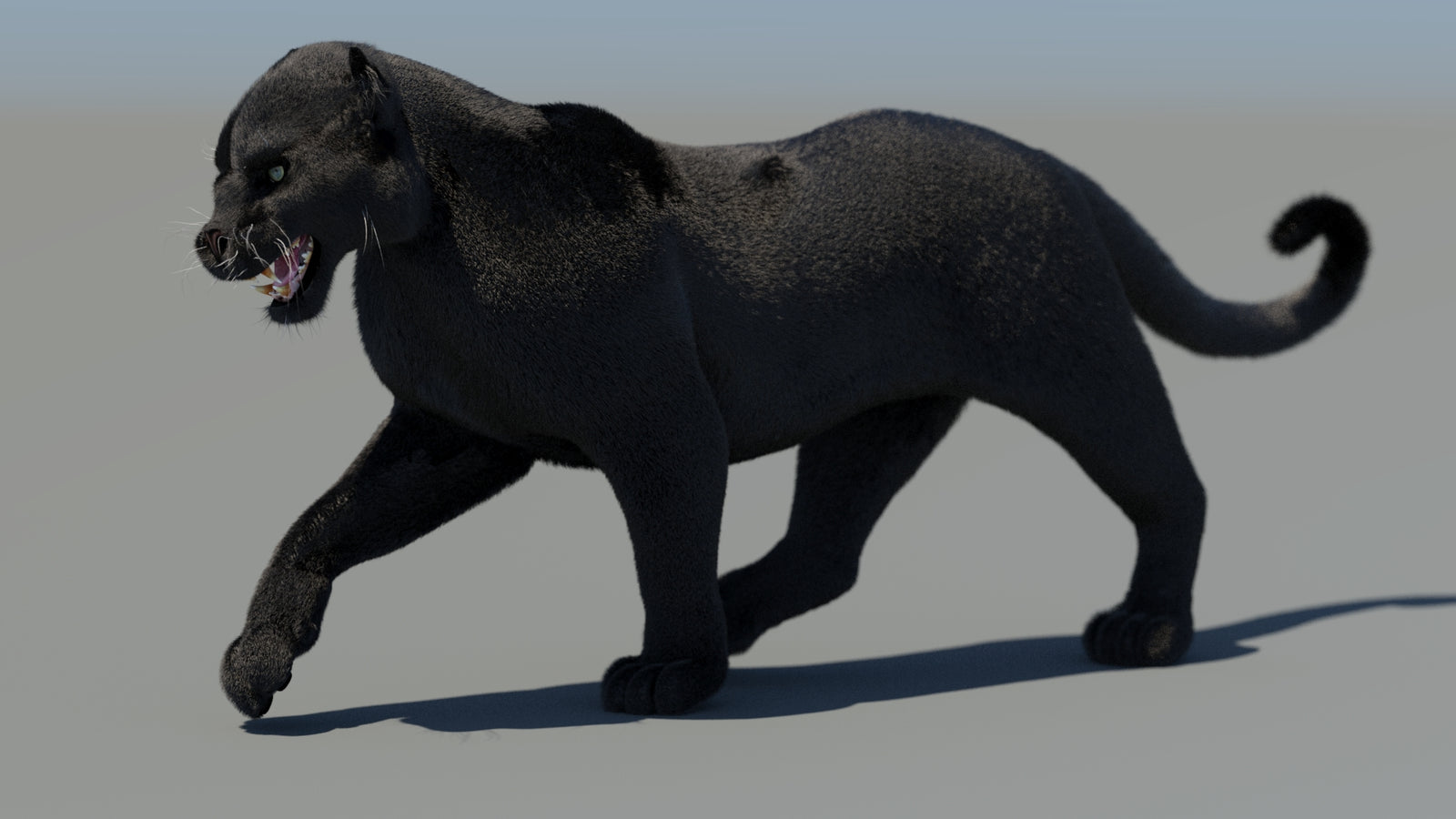 Animated Black Panther 3D Model Fur 360° view 4 frame 42
