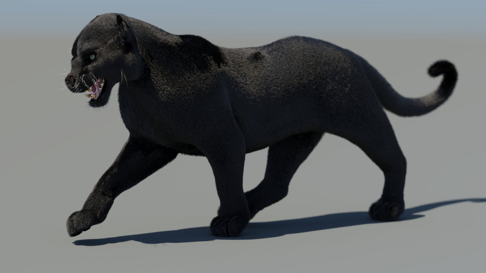 Animated Black Panther 3D Model Fur 360° view 4 frame 43