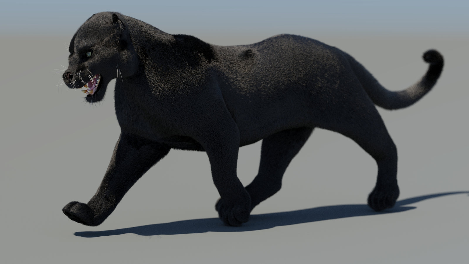 Animated Black Panther 3D Model Fur 360° view 4 frame 45