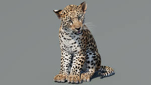 Rigged Leopard Cub 3D Model for Game Thumbnail