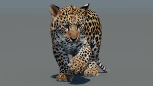 Rigged Leopard Cub 3D Model for VR/ AR Thumbnail