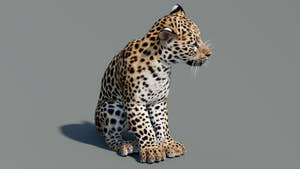 Rigged Leopard Cub 3D Model for Game Thumbnail