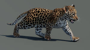 Rigged Leopard Cub 3D Model for Game Thumbnail