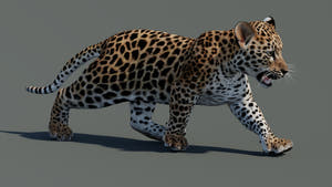 Rigged Leopard Cub 3D Model for Game Thumbnail