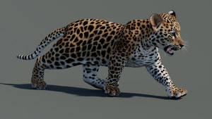 Rigged Leopard Cub 3D Model for Game Thumbnail