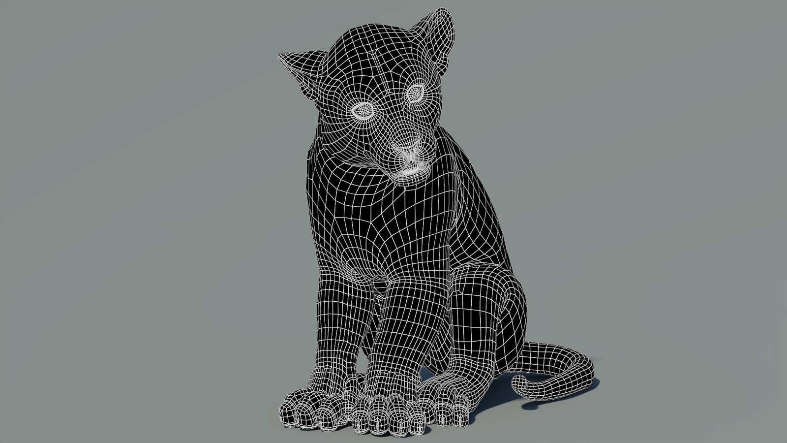 Leopard Cub 3D Model Wireframe View Subdivision Level 0