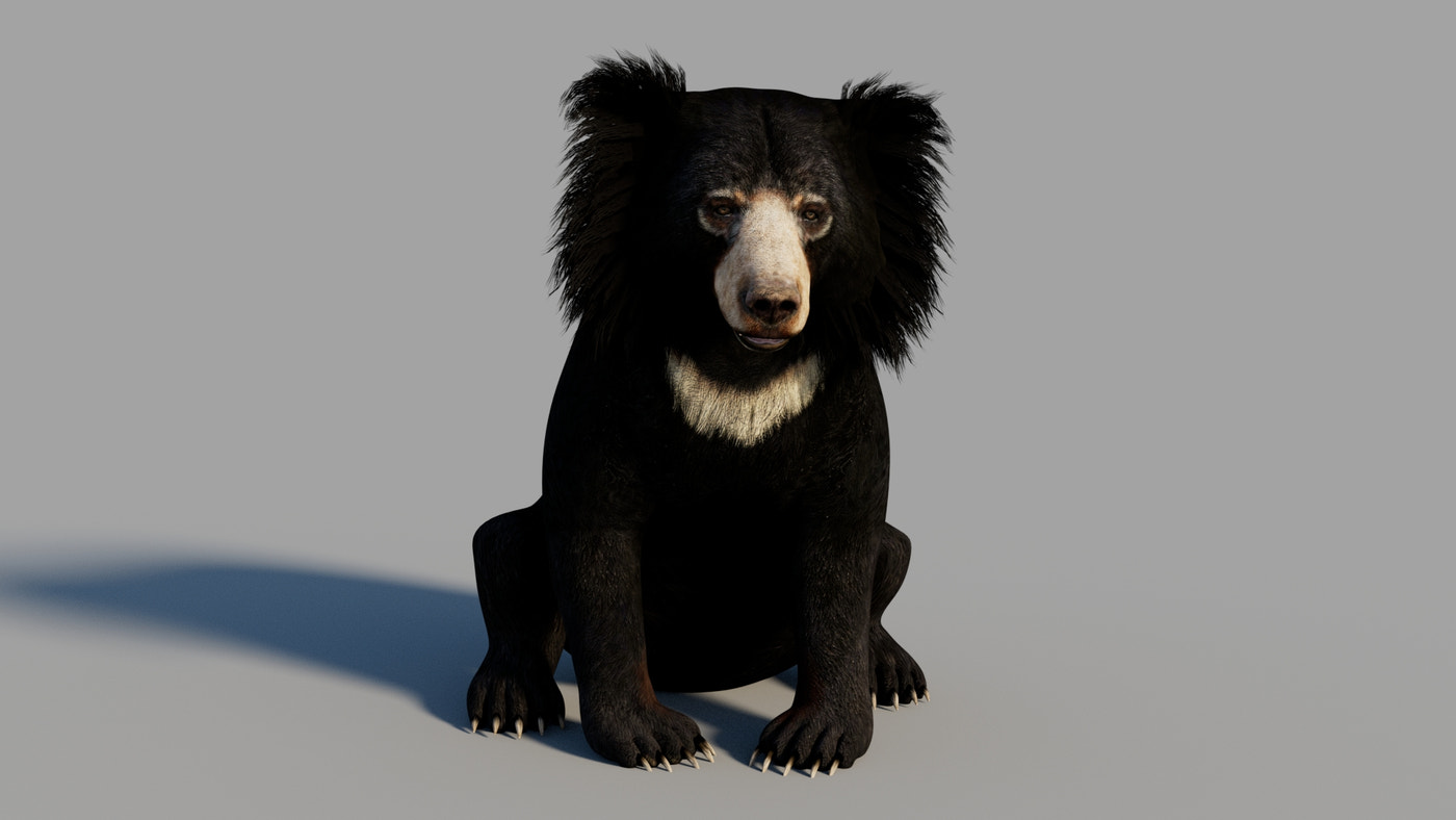 Rigged Sloth Bear 3D Model - 360 Degree View