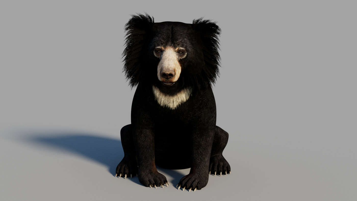 Rigged Sloth Bear 3D Model - 360 Degree View