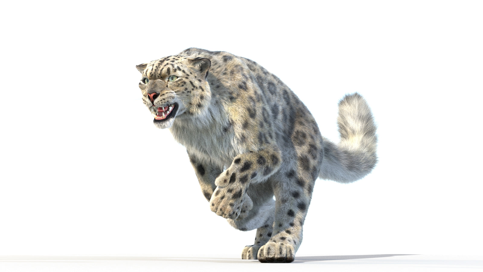 Animated Snow Leopard 3D Model Fur 360° view 3 frame 13