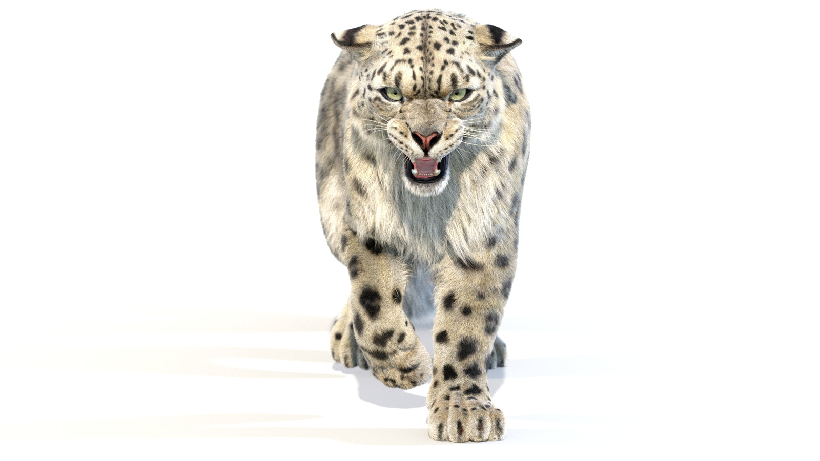 Animated Snow Leopard 3D Model Fur 360° view 2 frame 13