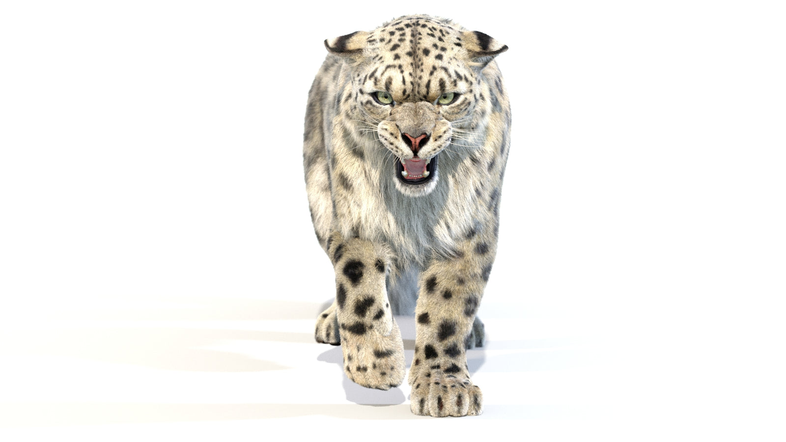 Animated Snow Leopard 3D Model Fur 360° view 2 frame 16