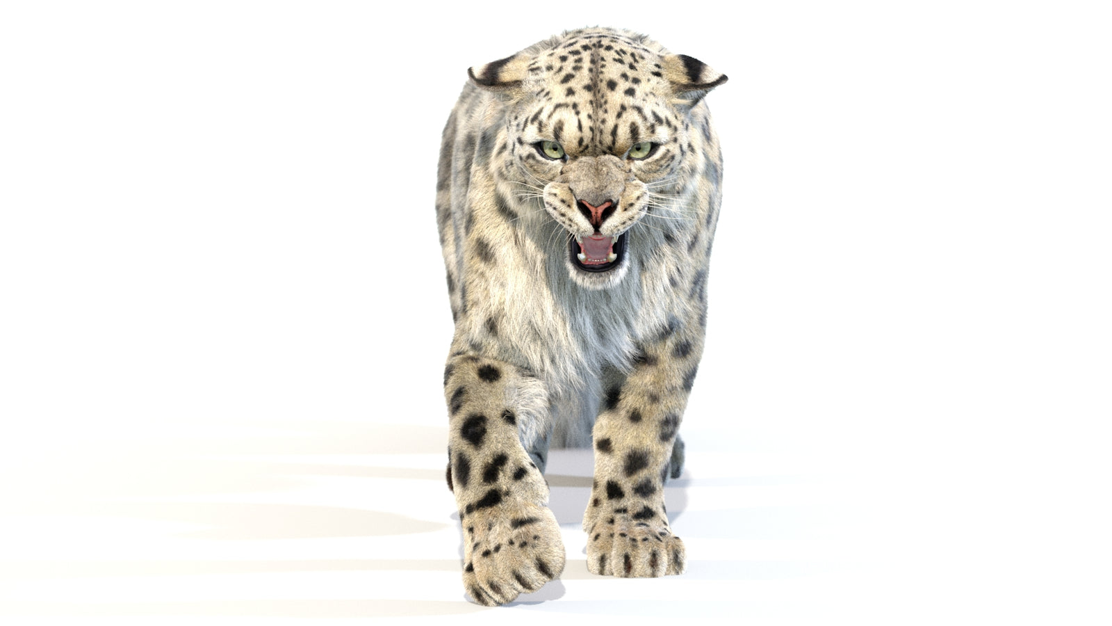 Animated Snow Leopard 3D Model Fur 360° view 2 frame 20