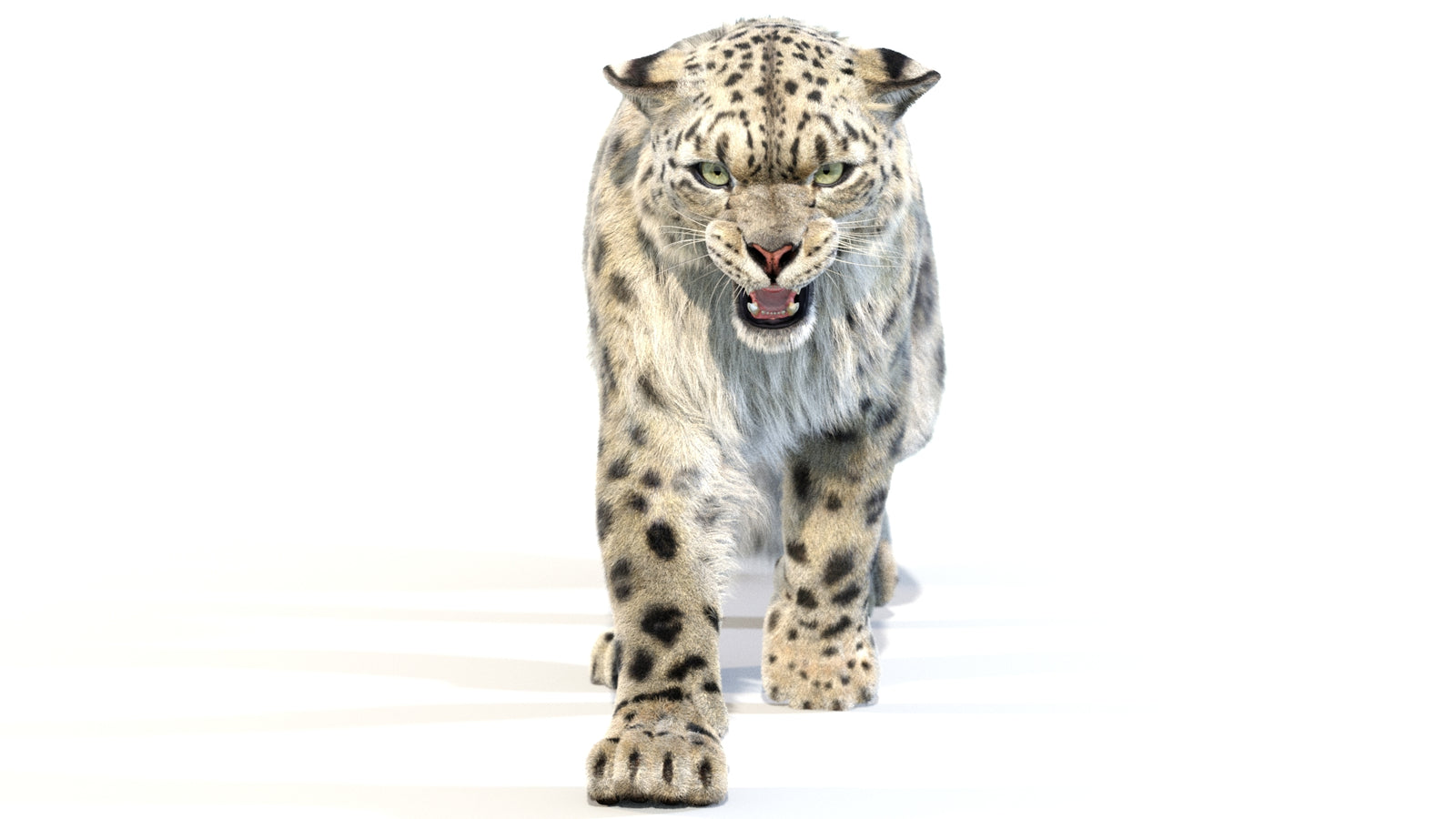 Animated Snow Leopard 3D Model Fur 360° view 2 frame 28