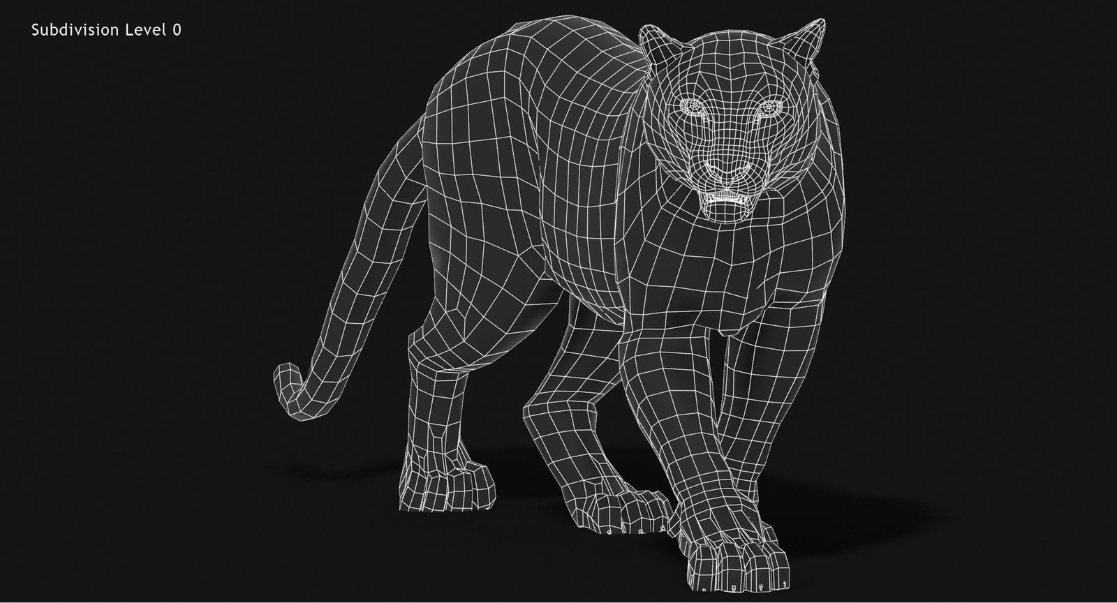 Snow Leopard 3D Model Wireframe view Subdivision Level 0