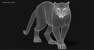 Snow Leopard 3D Model Wireframe view Subdivision Level 1 Thumbnail