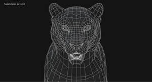 Snow Leopard 3D Model Wireframe view Head Close Up -Subdivision Level 0 Thumbnail