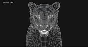 Snow Leopard 3D Model Wireframe view Head Close Up -Subdivision Level 1 Thumbnail