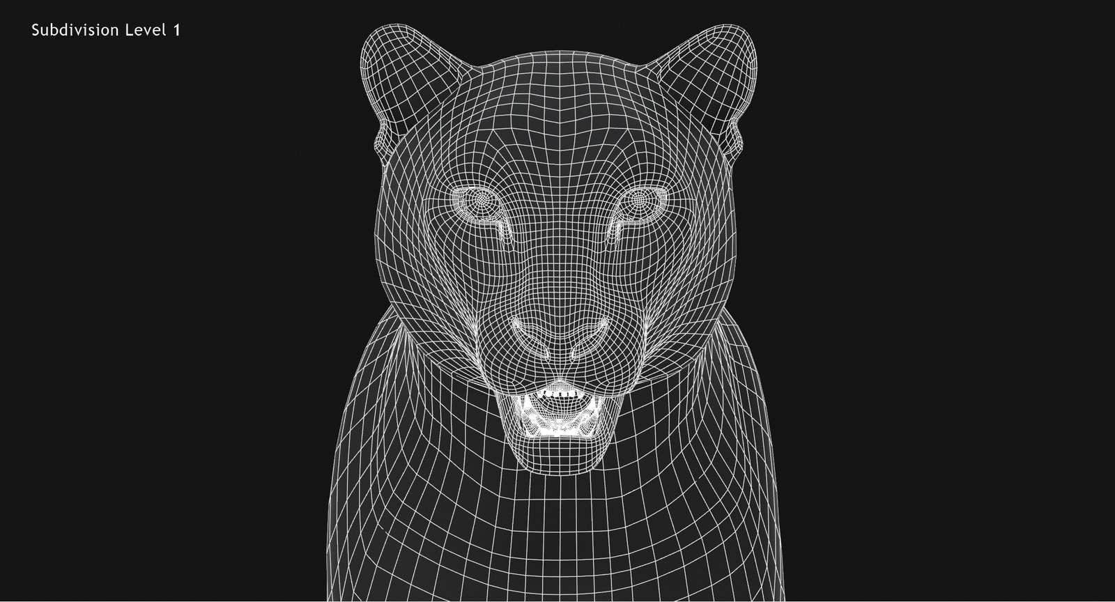 Snow Leopard 3D Model Wireframe view Head Close Up -Subdivision Level 1