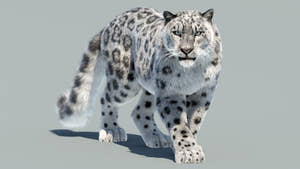 Animated Snow Leopard 3D Model with Fur Thumbnail