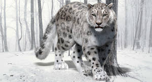 Animated Snow Leopard 3D Model with Realistic Fur Thumbnail