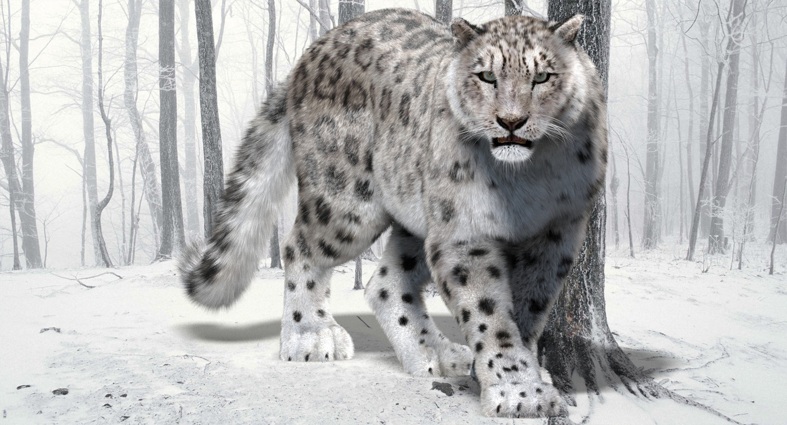 Animated Snow Leopard 3D Model with Realistic Fur