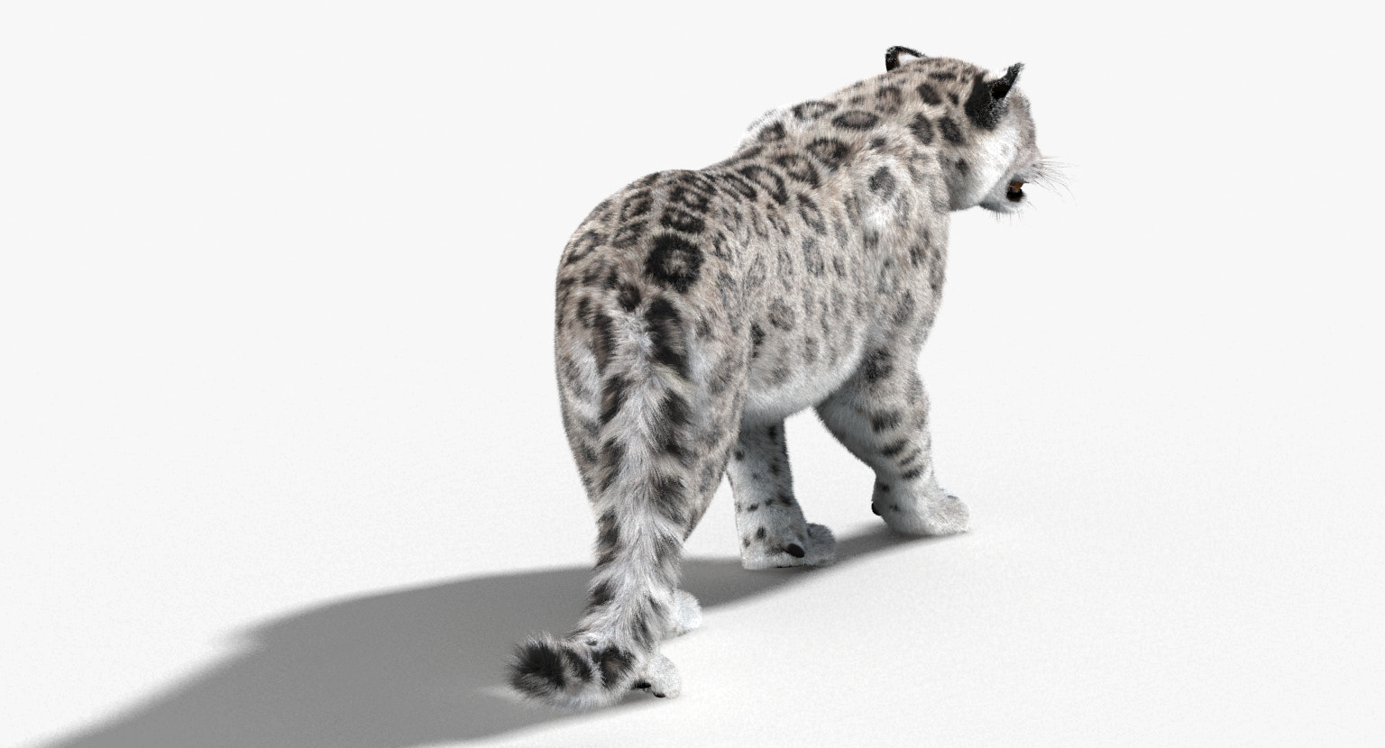 3D rendering of a snow leopard on a white background