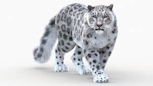 Snow Leopard 3D Model Animated with Fur Vray Thumbnail
