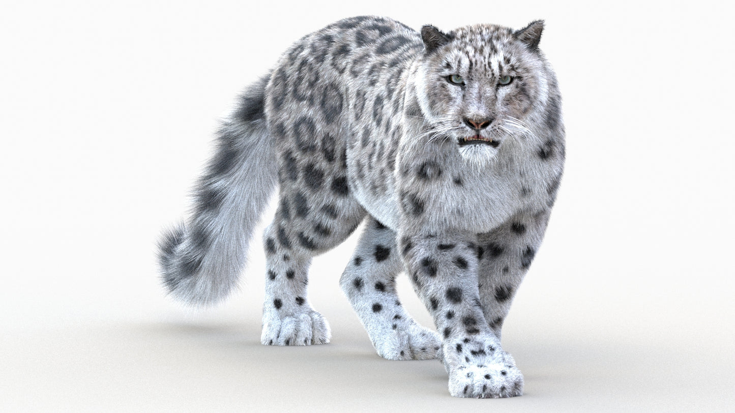 Snow Leopard 3D Model Animated with Fur