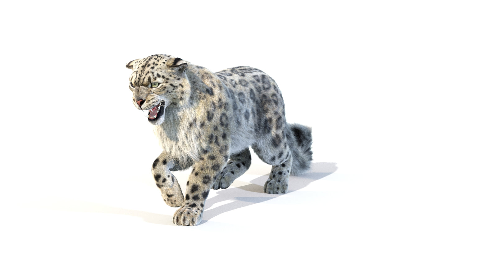 Animated Snow Leopard 3D Model Fur 360° view 1 frame 6