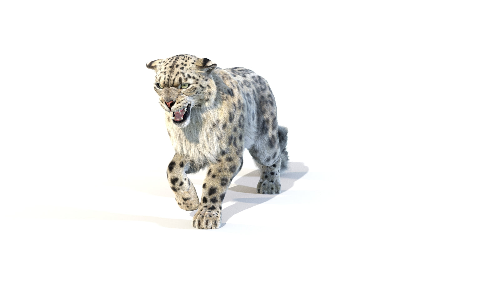 Animated Snow Leopard 3D Model Fur 360° view 1 frame 7