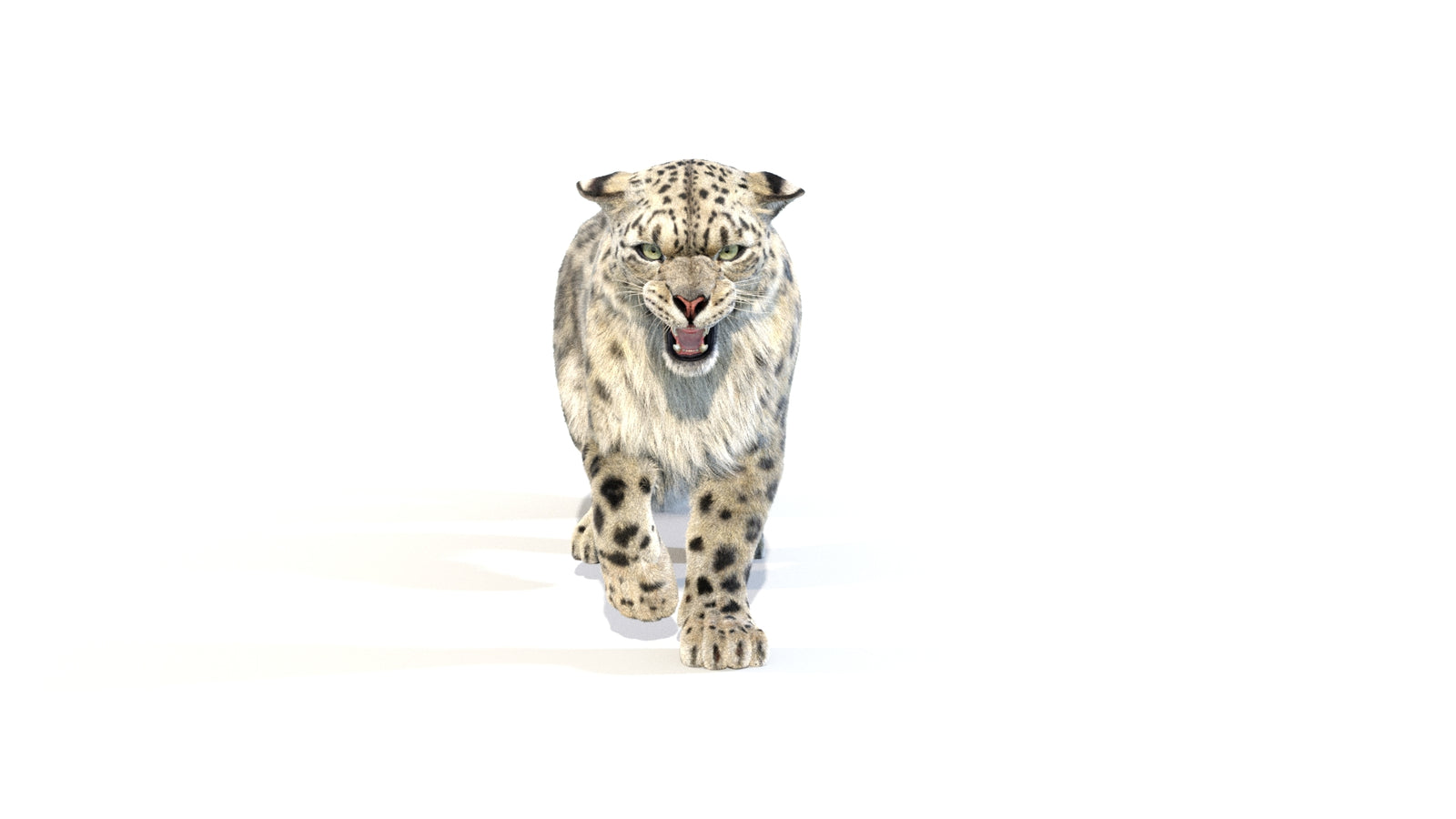 Animated Snow Leopard 3D Model Fur 360° view 1 frame 9