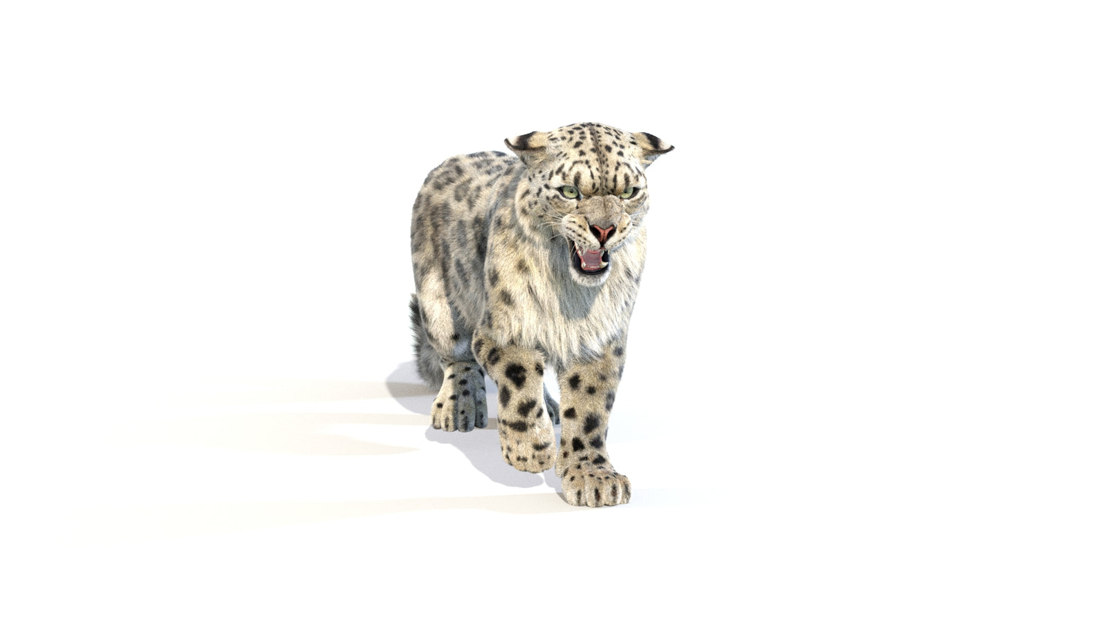 Animated Snow Leopard 3D Model Fur 360° view 1 frame 10