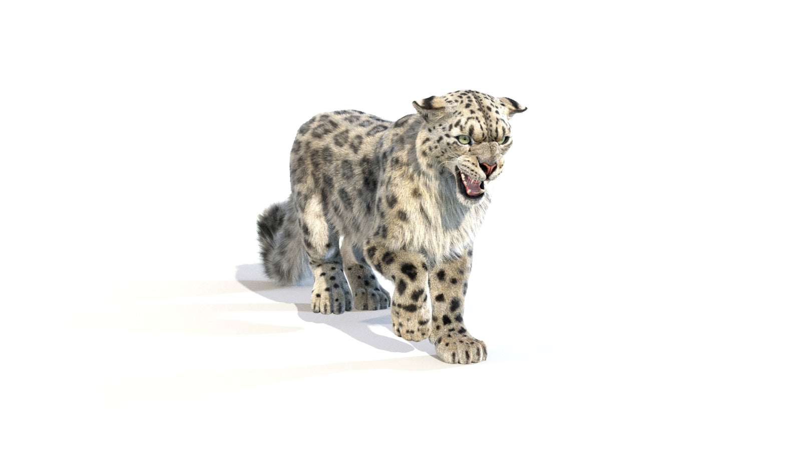 Animated Snow Leopard 3D Model Fur 360° view 1 frame 11