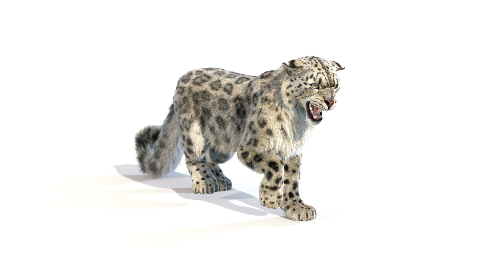 Animated Snow Leopard 3D Model Fur 360° view 1 frame 12